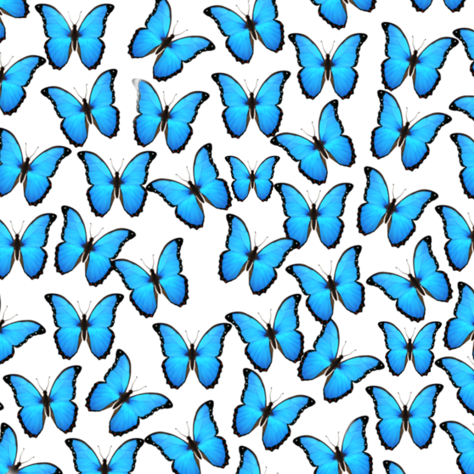 Бабочки на распечатку синие много