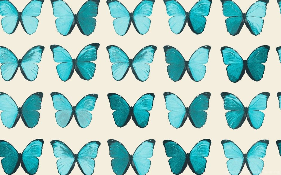 Бабочка бирюзового цвета