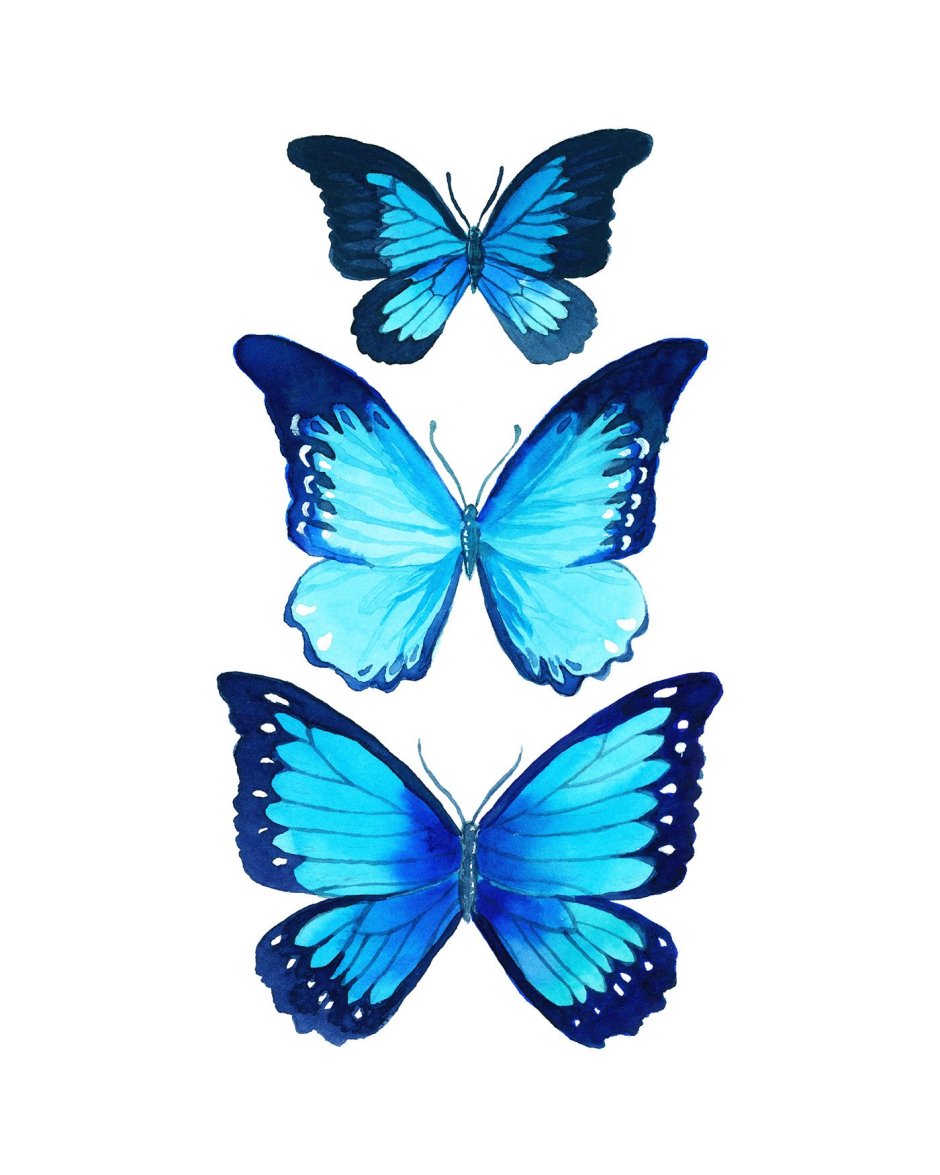 Бабочки для вафельной печати голубые