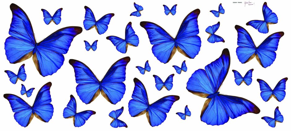 Бумажные бабочки голубые