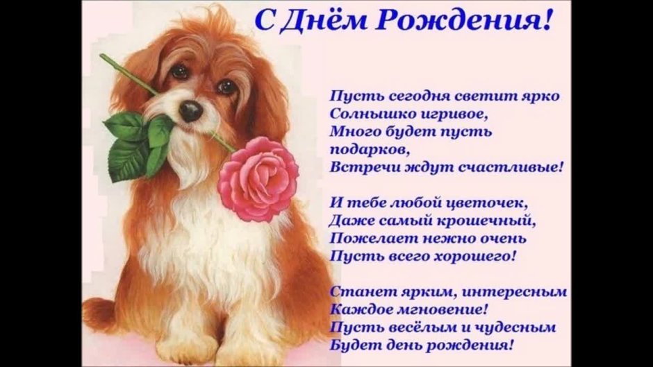 Стихи с днём рождения