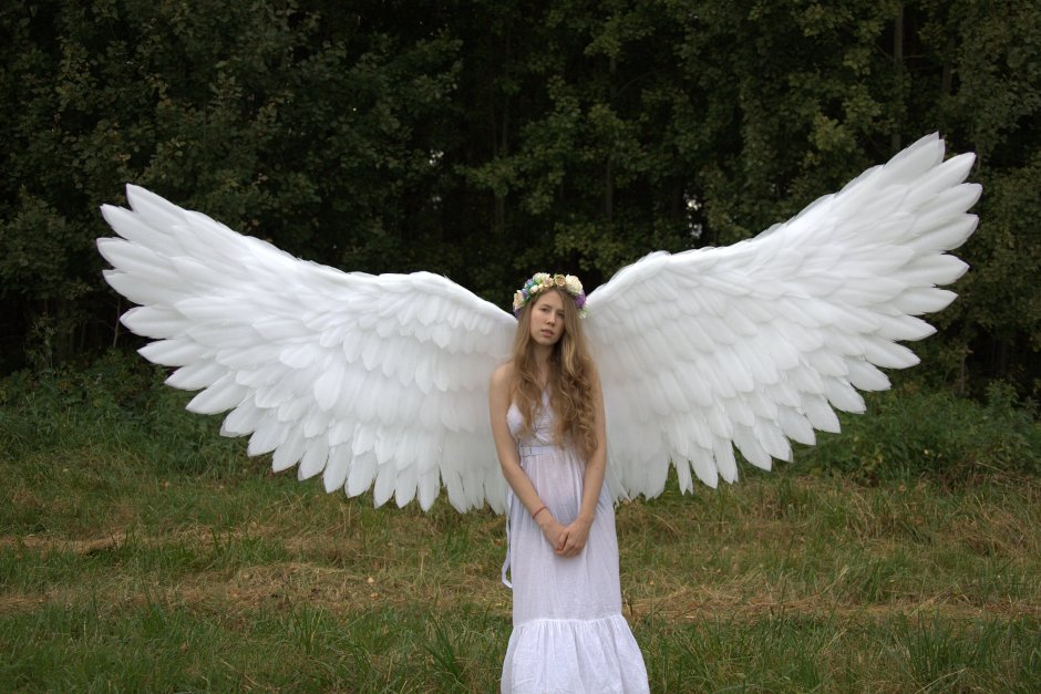 Фотозона Крылья ангела
