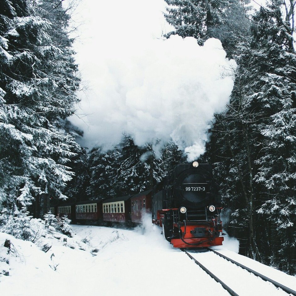 Девушка поезд зима