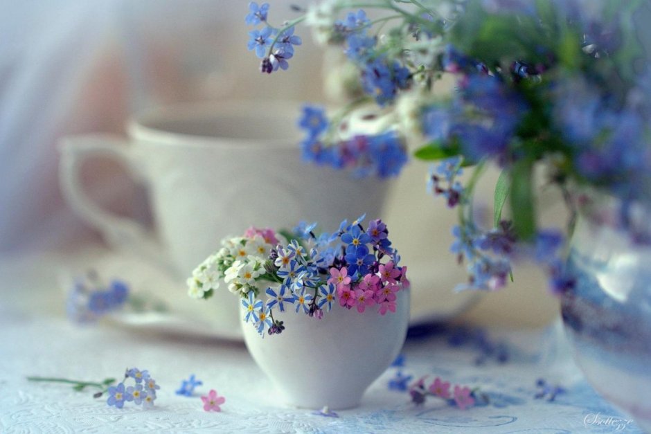 Нежные цветы в чашке