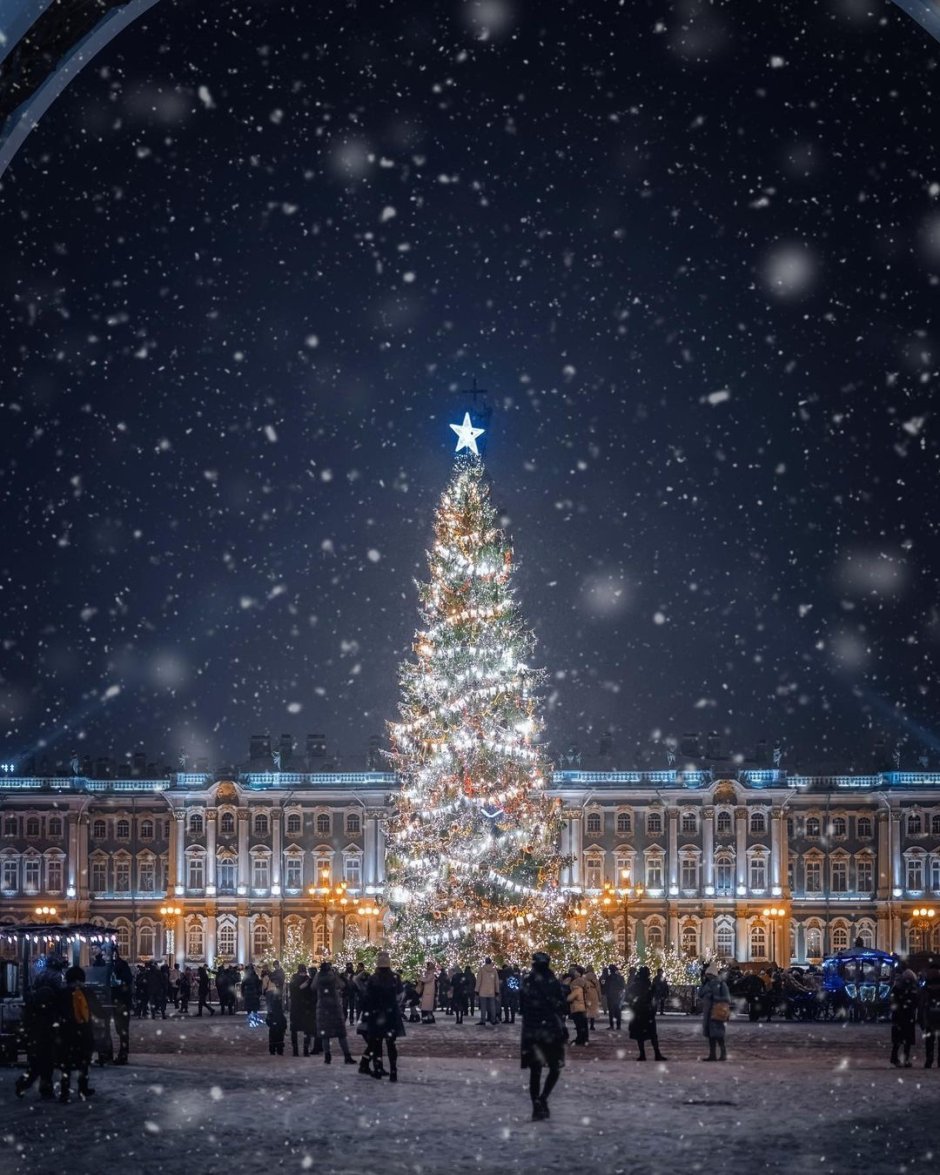 Дворцовая площадь в Санкт-Петербурге елка 2021