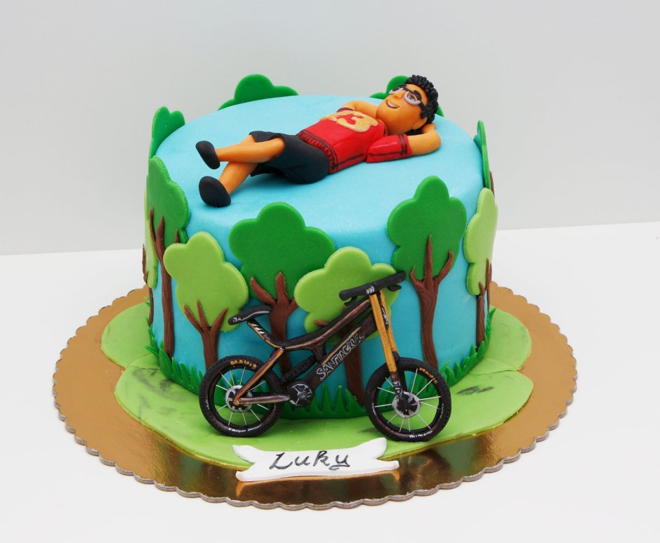 Торт для мужчины с дредами и велосипедом