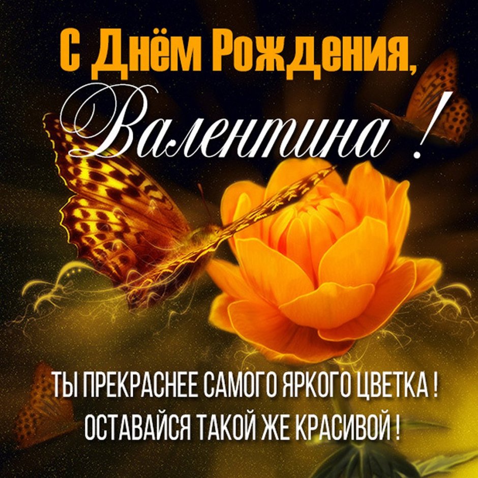 Роза Валентина