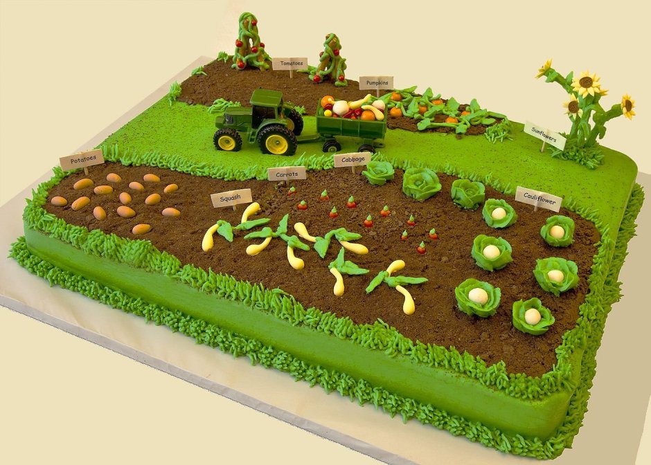 Торт фермеру на день рождения