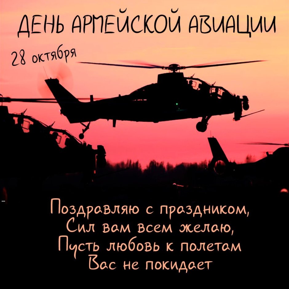 День создания армейской авиации России 28 октября