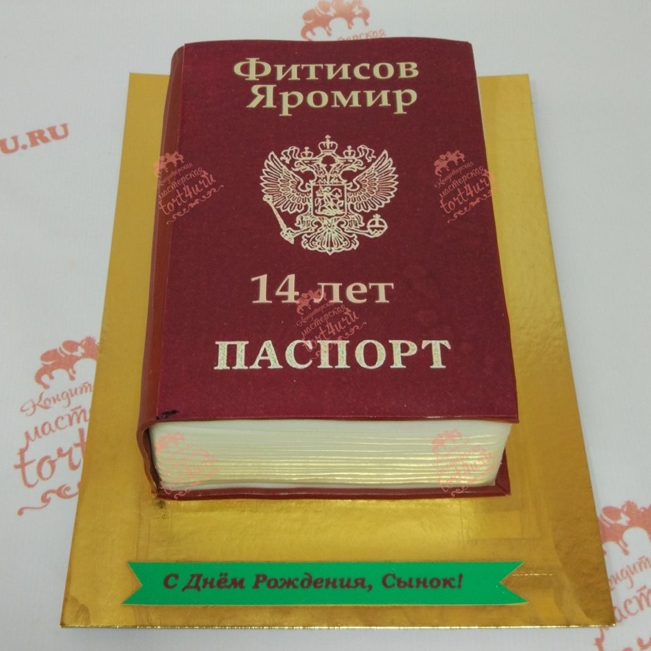 Торт с паспортом для мальчика