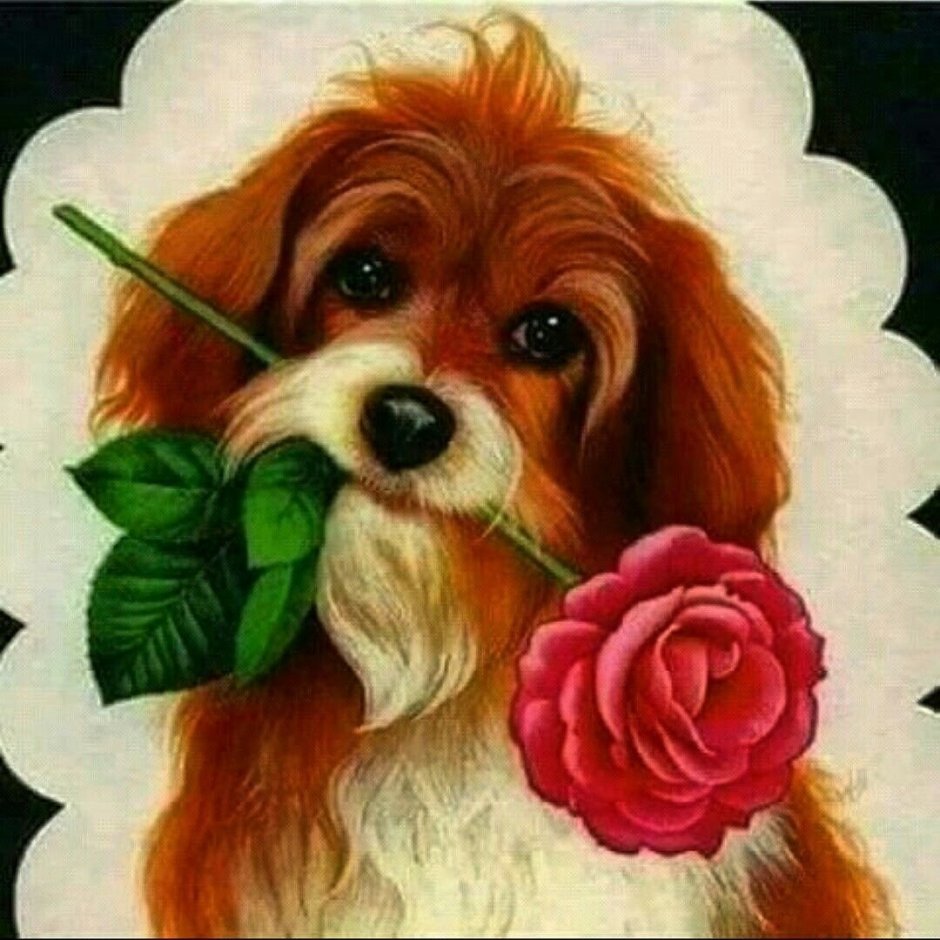 Собака с розой в зубах