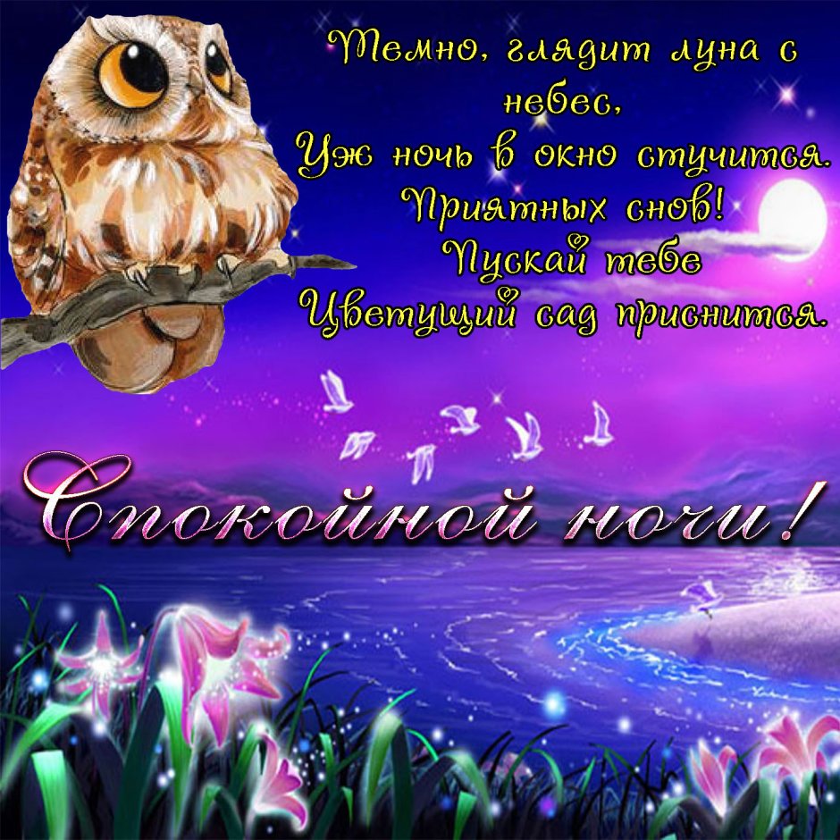 Баюшки спокойной ночи