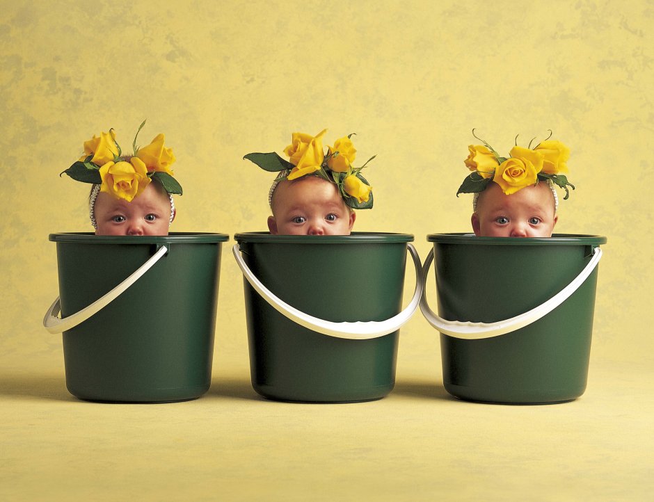 Anne Geddes семья