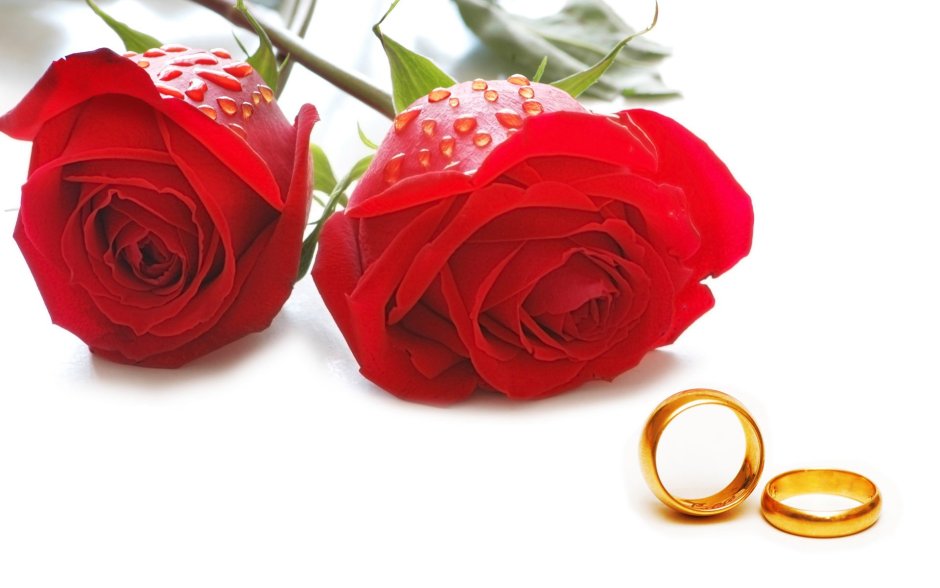 Обручальные кольца и жемчуг и цветы
