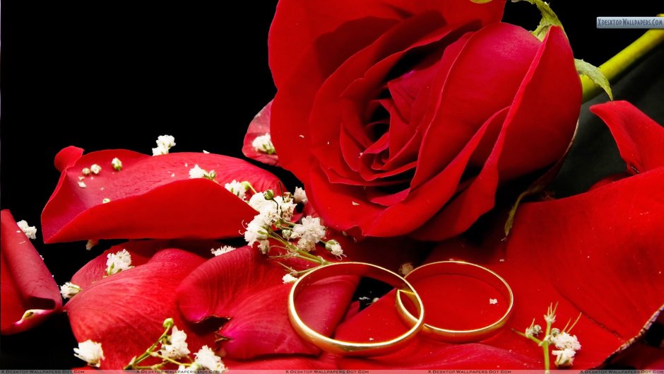 Обручальные кольца с красными цветами