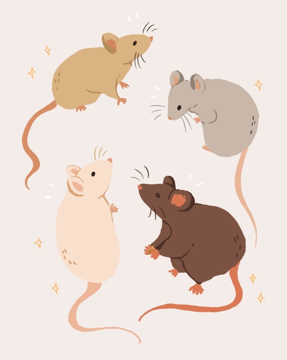 Самодельная открытка с крысой