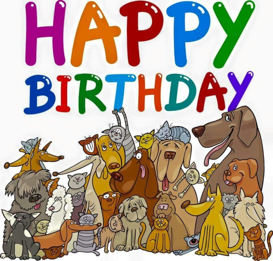 Поздравление с днём рождения волонтеру животных