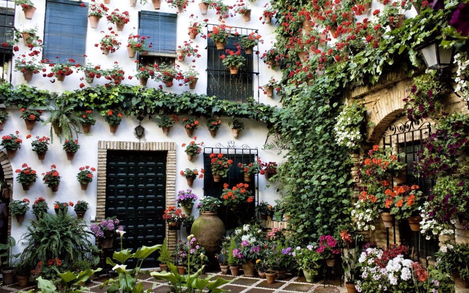 Кордоба Испания улица с цветами