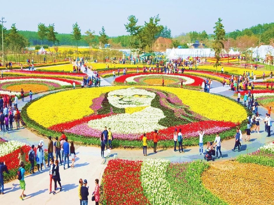 Фестиваль цветов в Сеуле