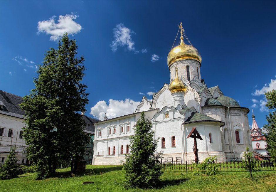 Иконостас Рождественского собора Саввино Сторожевского монастыря