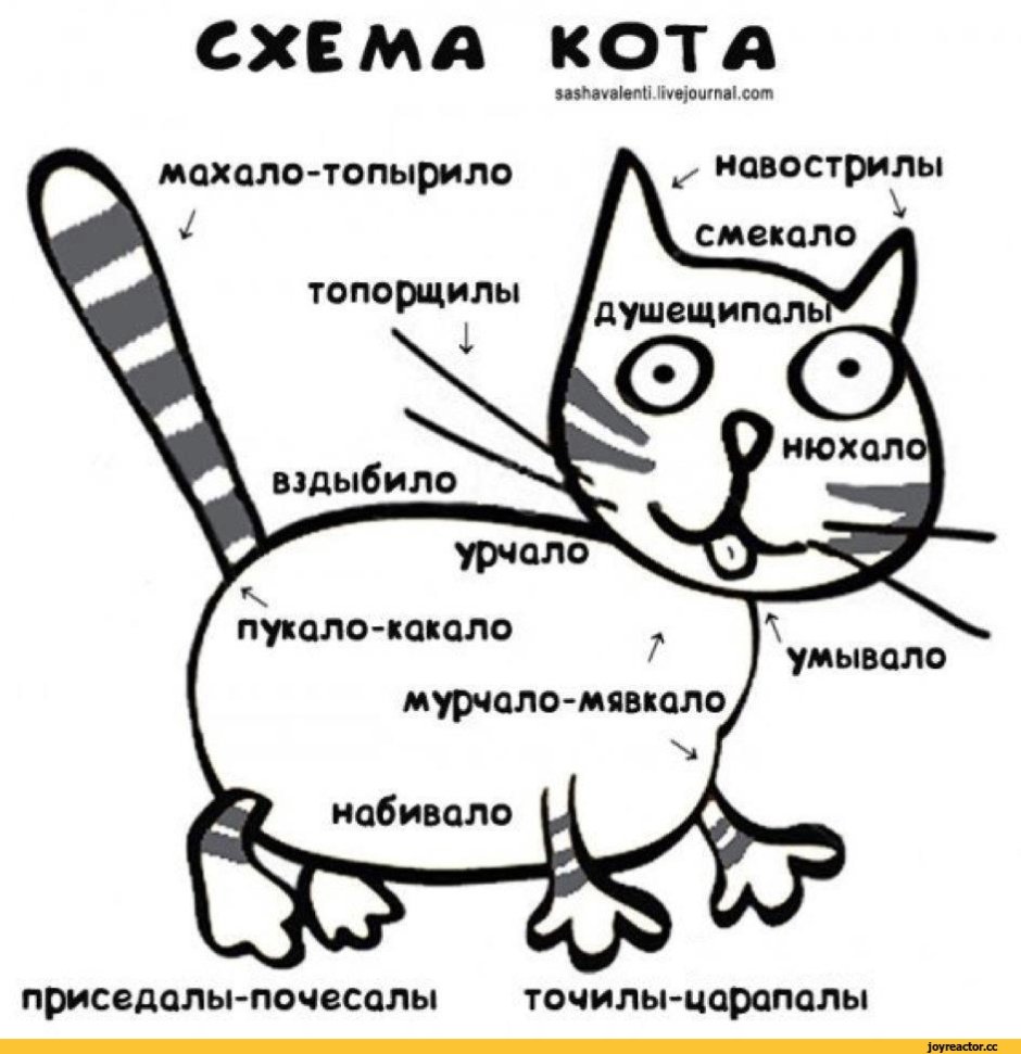 Принципиальная схема кота