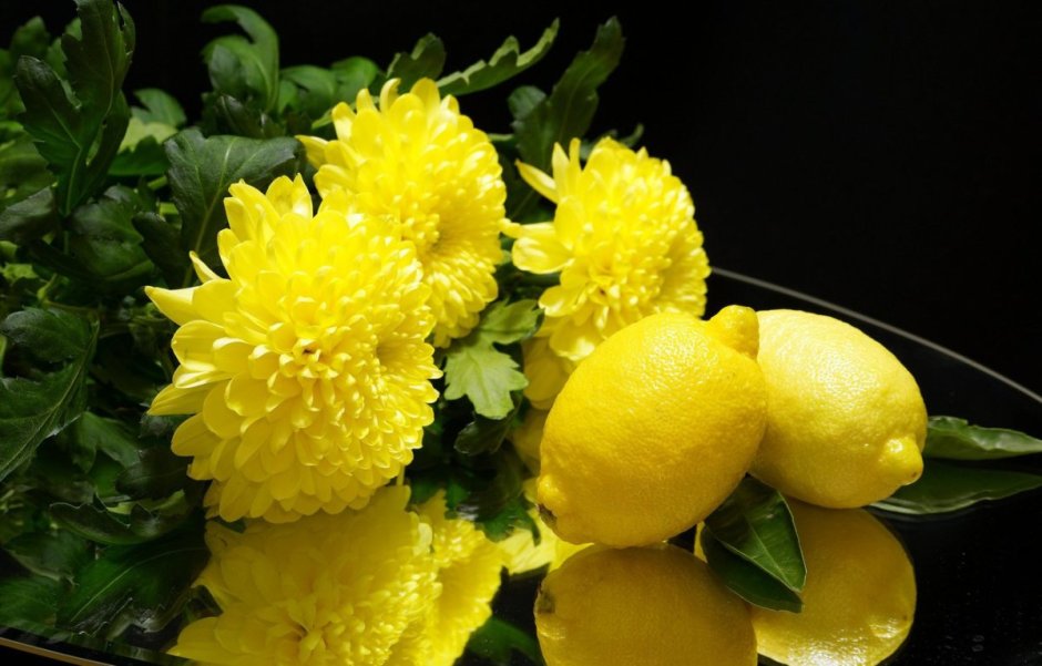 Хризантема лимонная