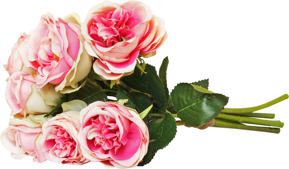 Букет розовых роз лежат на прозрачном фоне