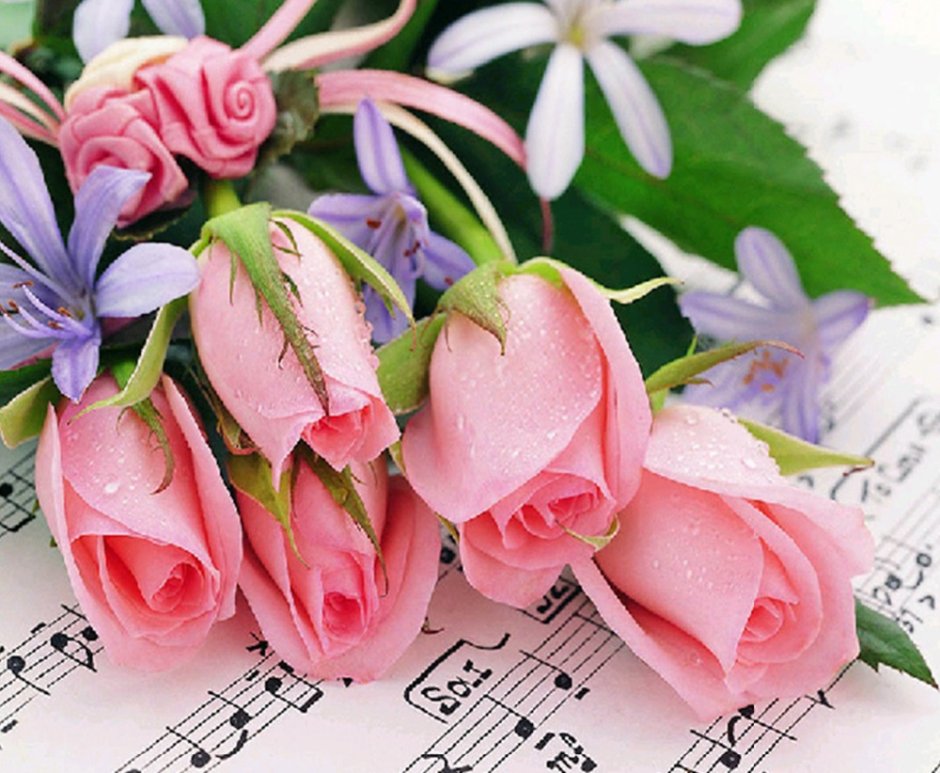 Красивые цветы для милой женщины