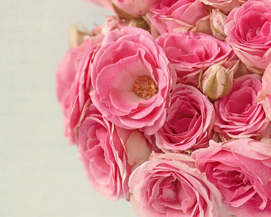 Букет с розовыми пионовидными розами