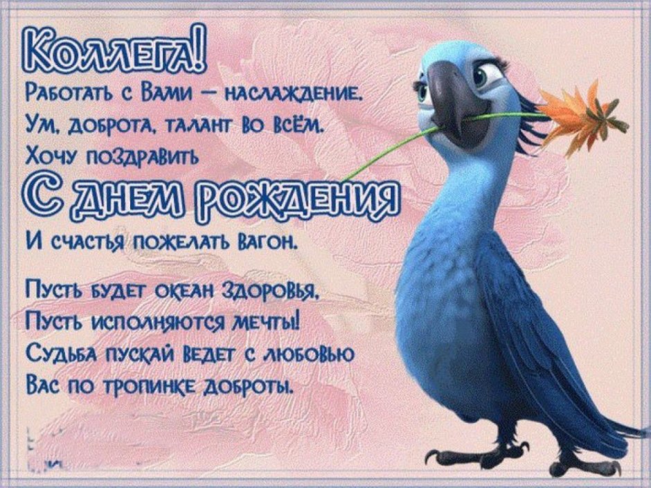 Веселые поздравления