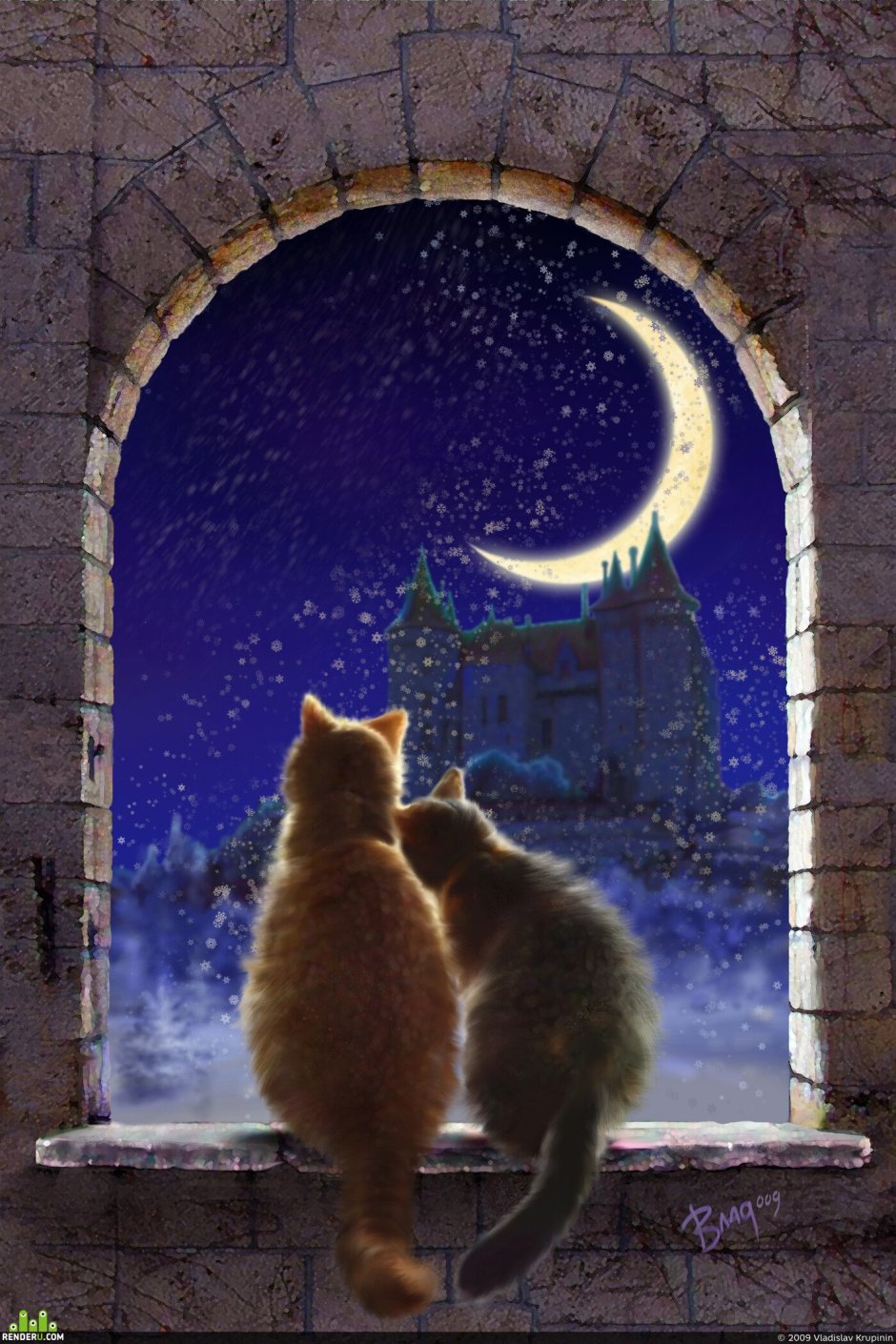 Кот и Луна