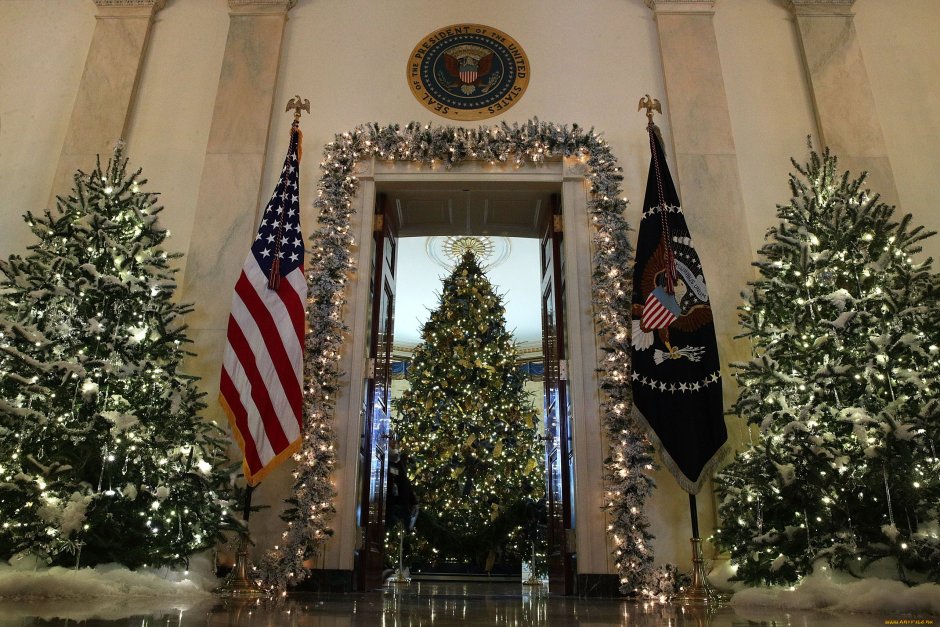 Американская Рождественская елка