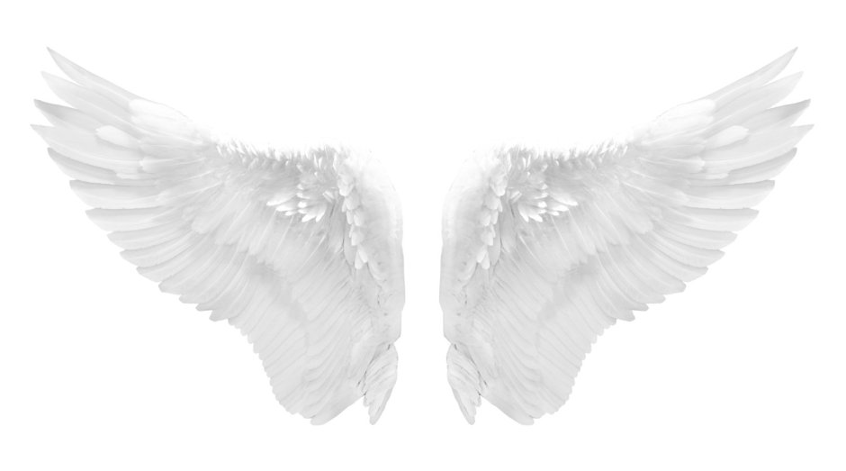 Белые Крылья на прозрачном фоне
