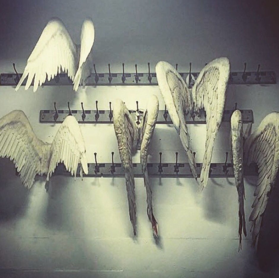 Ангельские Крылья Эстетика