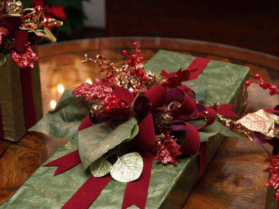 Пуансеттия – Рождественская звезда, Цветущая на подоконнике.