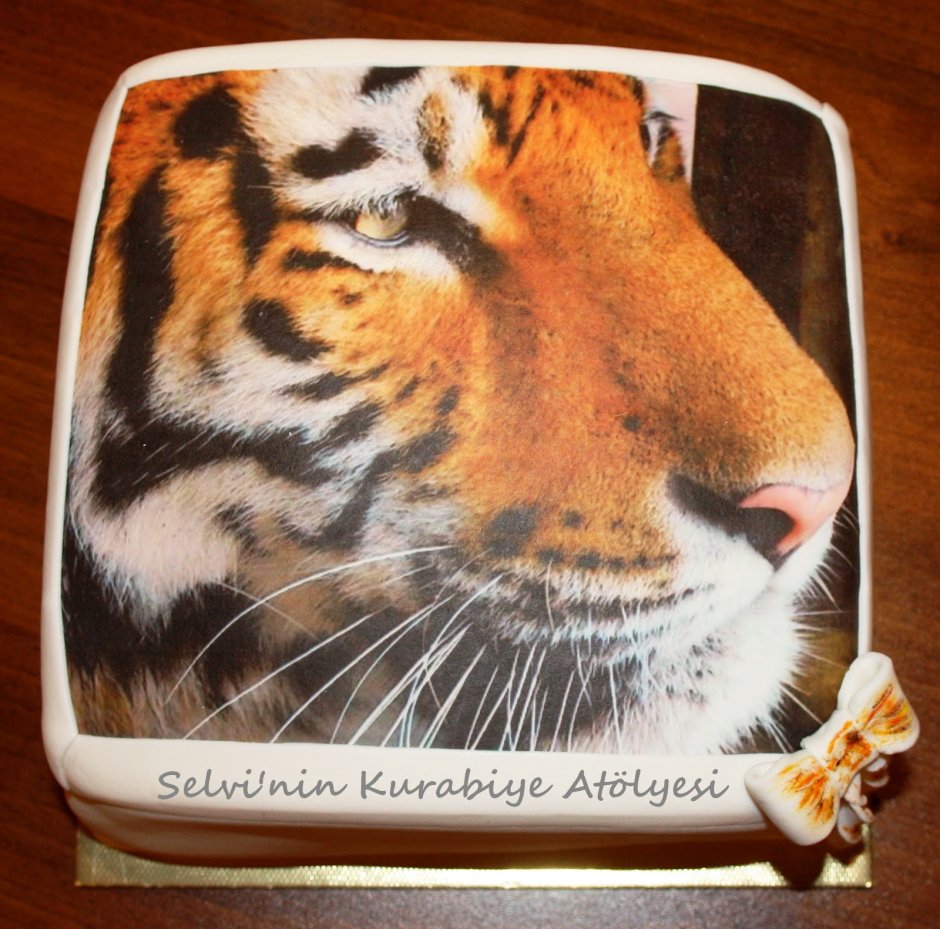 Торт с тигриным принтом