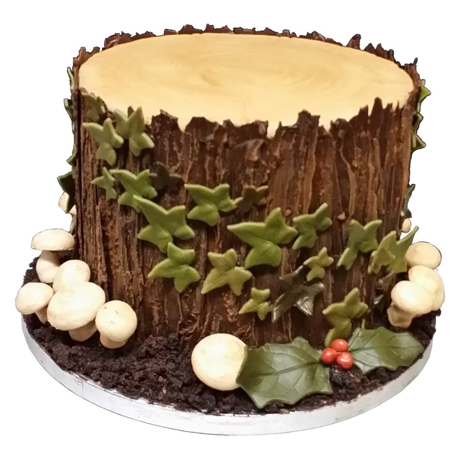 Торт на спиле дерева