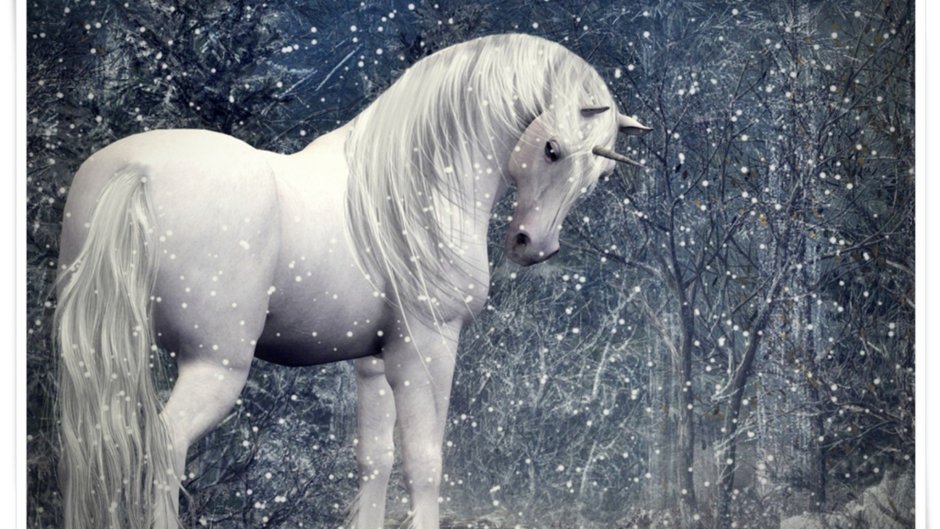Лошадка Снежинка