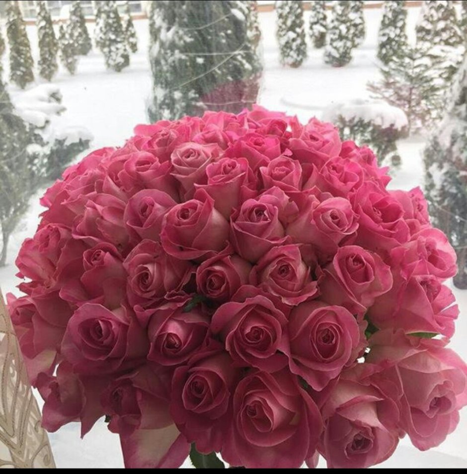 Букет роз зимой