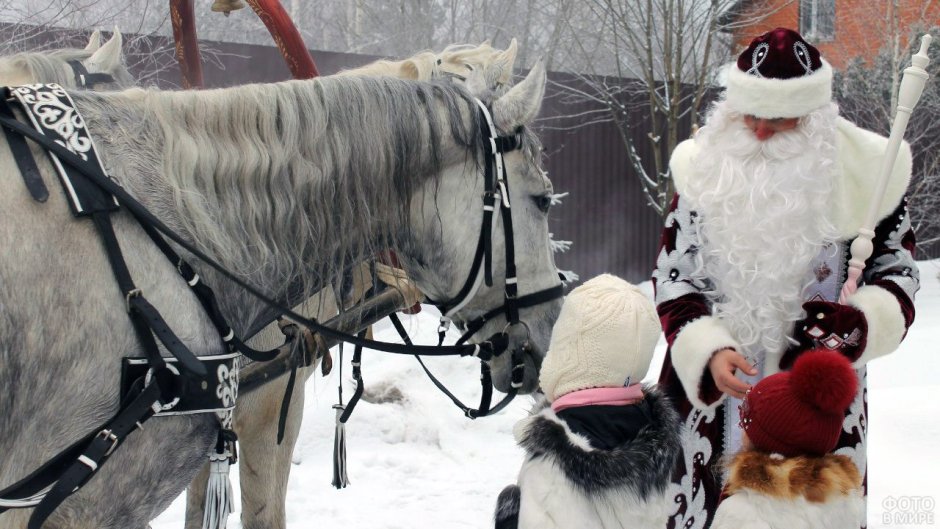 Дед Мороз на лошади