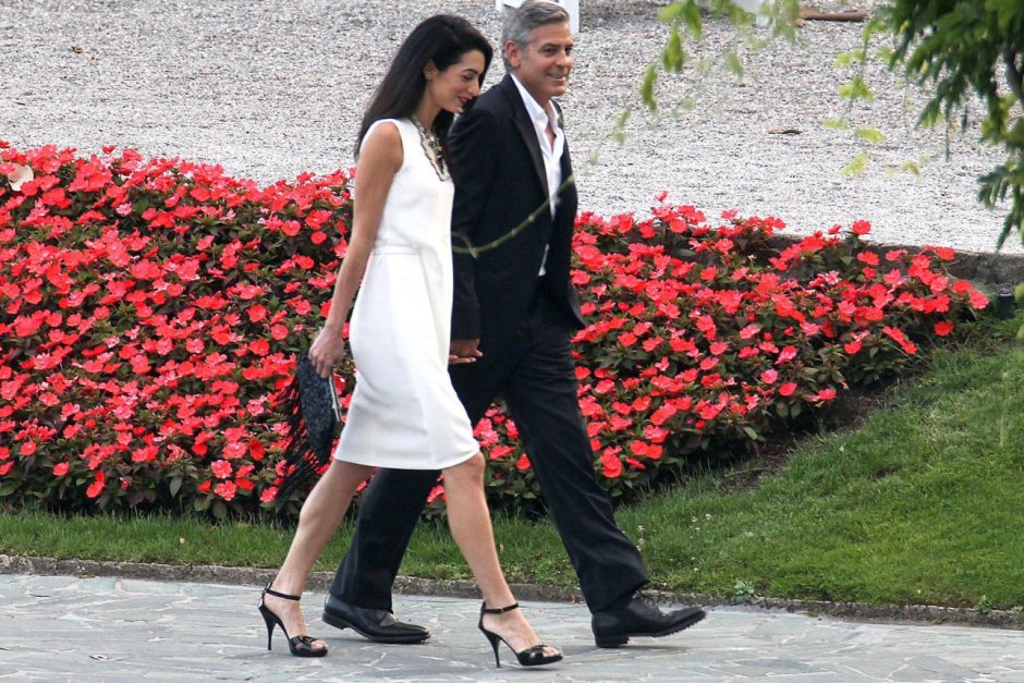 Фьфж Clooney Wedding