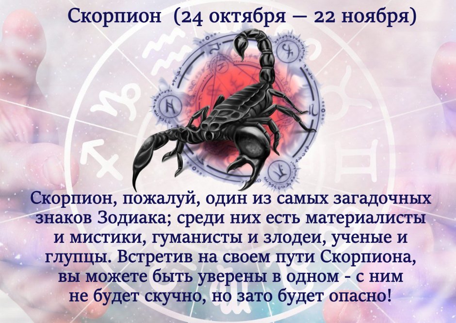 Скорпионэ знак зодиака