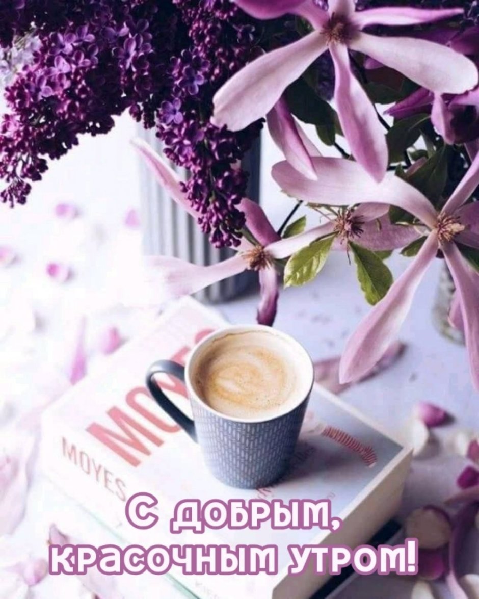 Кофе цветы утро стильные