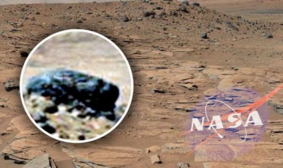 Снимки жизни на Марсе