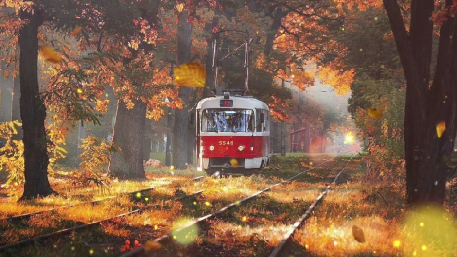 Трамвай осень