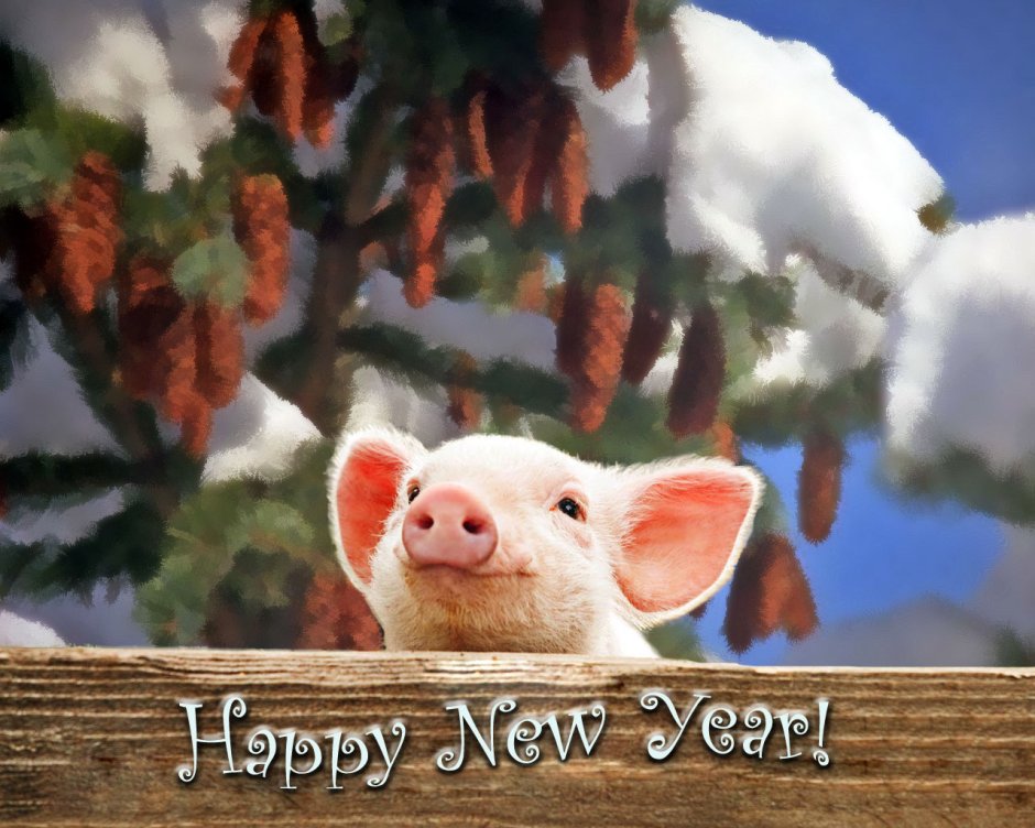 Уходящий год свиньи