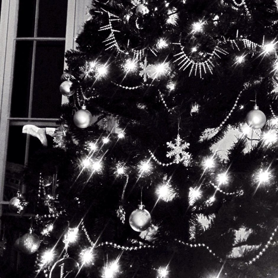 Новогодняя елка черно белая