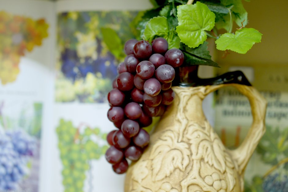 Виноградная лоза с гроздьями