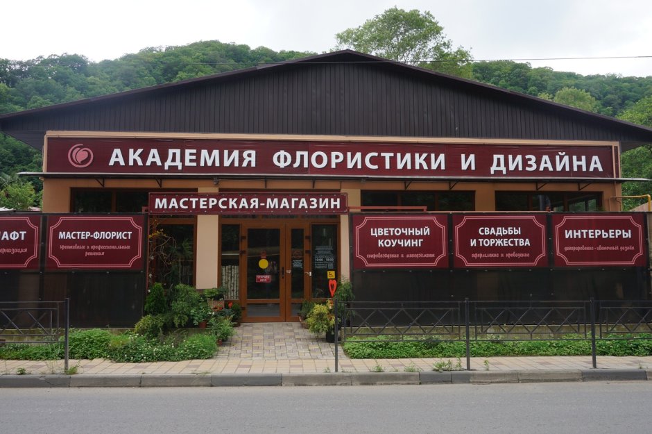 Семечки в Сочи