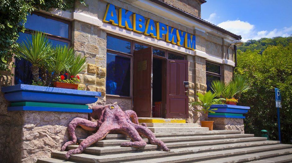Казачий рынок Сочи